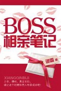 Bút Ký Coi Mắt Của Boss