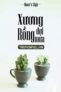 Xương Rồng Đợi Mưa