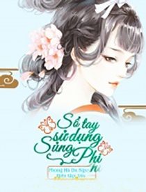 Sổ Tay Sử Dụng Sủng Phi