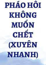 Pháo Hôi Không Làm ( Xuyên Nhanh )