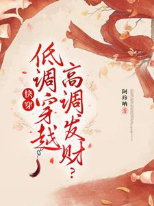 Xuyên Nhanh Chi Gom Tiền Viên Mộng Chi Lữ