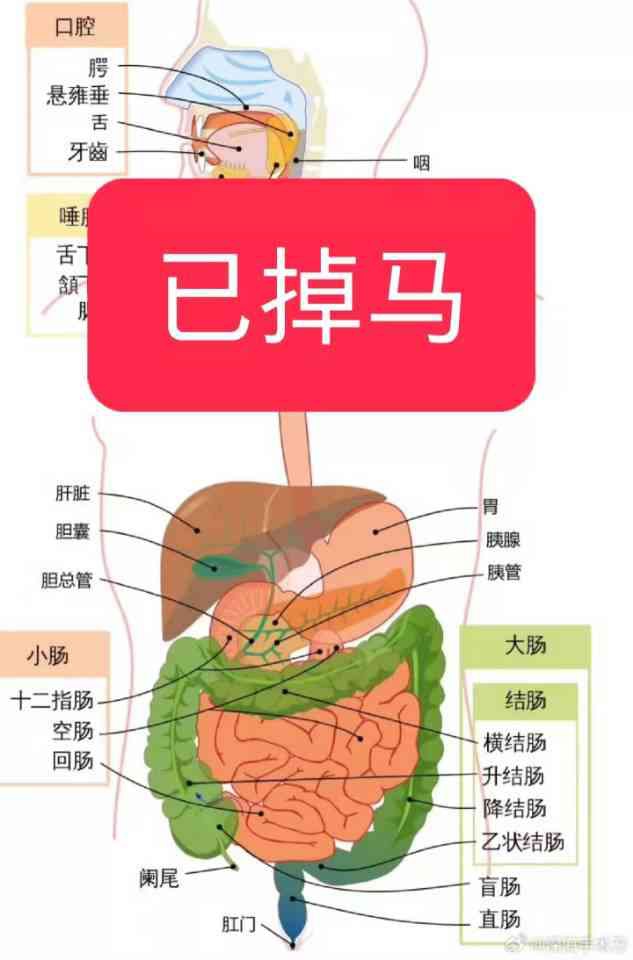 Nguyên Lai Ta Không Phải Bệnh Tâm Thần A