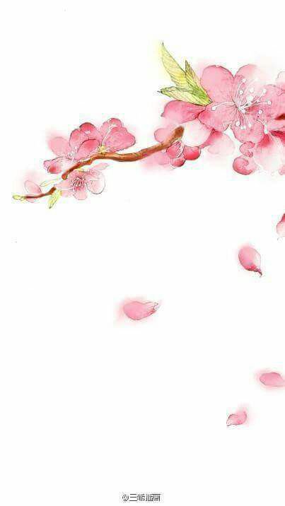 Cưỡi Con Lừa Hồi 60 Niên Đại